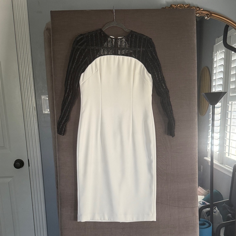 Chic Long Sleeve Black and White Dress worn ONCE